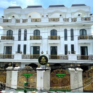 Cửa cổng sắt 026