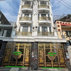 Cửa cổng sắt 020